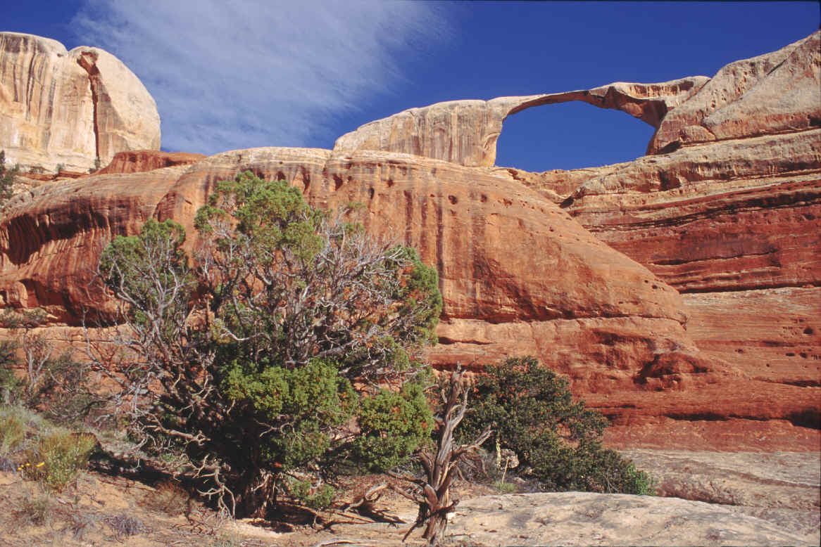 Angel arch canyonlands on sale hike