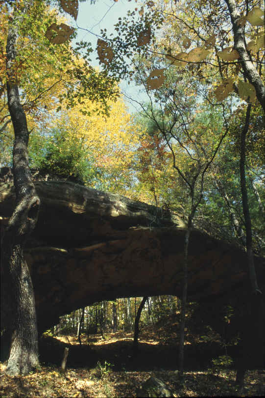 Kentucky Arches and Bridges