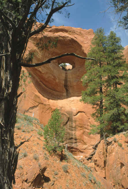 Navajo Nm